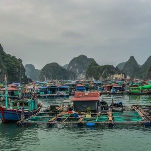 Meet your Posher, Meghan